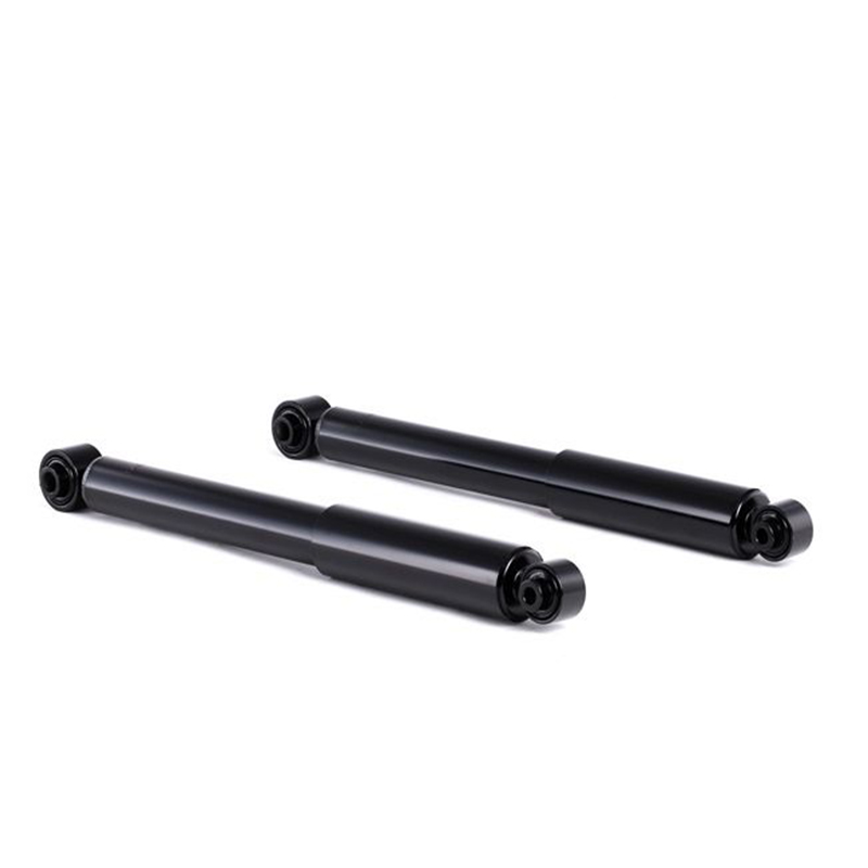 Peugeot 1007 SHOCK ABSORBER Belakang